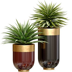 Decorative tropical Agave plant in modern Luxury flower pots vases urns Godwin Longhi Indoor plant 3D model