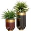 Planta de Agave tropical decorativa em vasos de flores de luxo modernos vasos urnas Godwin Longhi Planta de interior