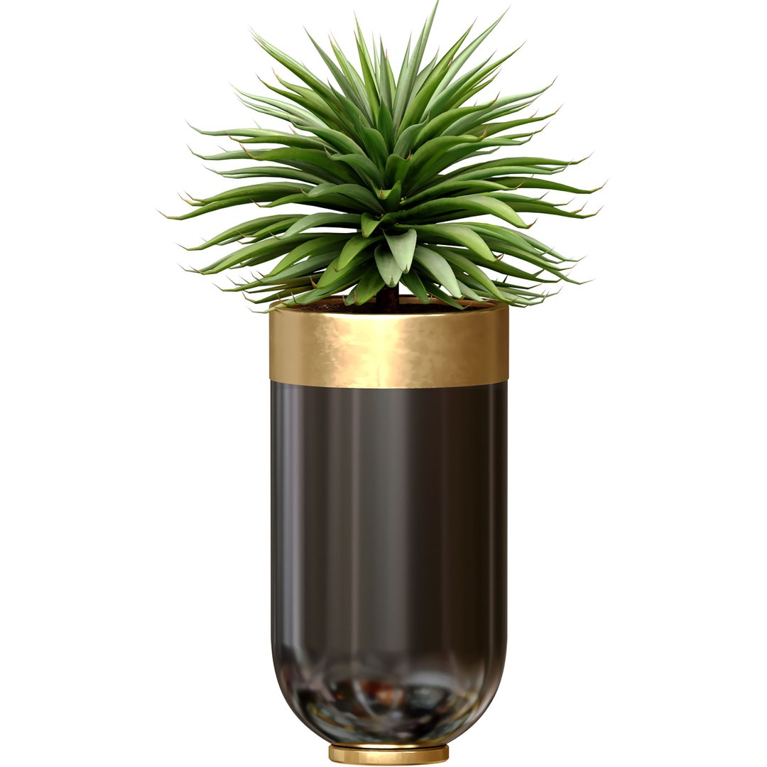 Decorative tropical Agave plant in modern Luxury flower pots vases urns Godwin Longhi Indoor plant 3D model https://p.turbosquid.com/ts-thumb/6g/rbtM2Q/YC/ads3/jpg/1734429474/1920x1080/fit_q87/89e106ddf15ea3251c2dedb337e56af16a00c0b5/ads3.jpg