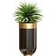 Planta de Agave tropical decorativa em vasos de flores de luxo modernos vasos urnas Godwin Longhi Planta de interior
