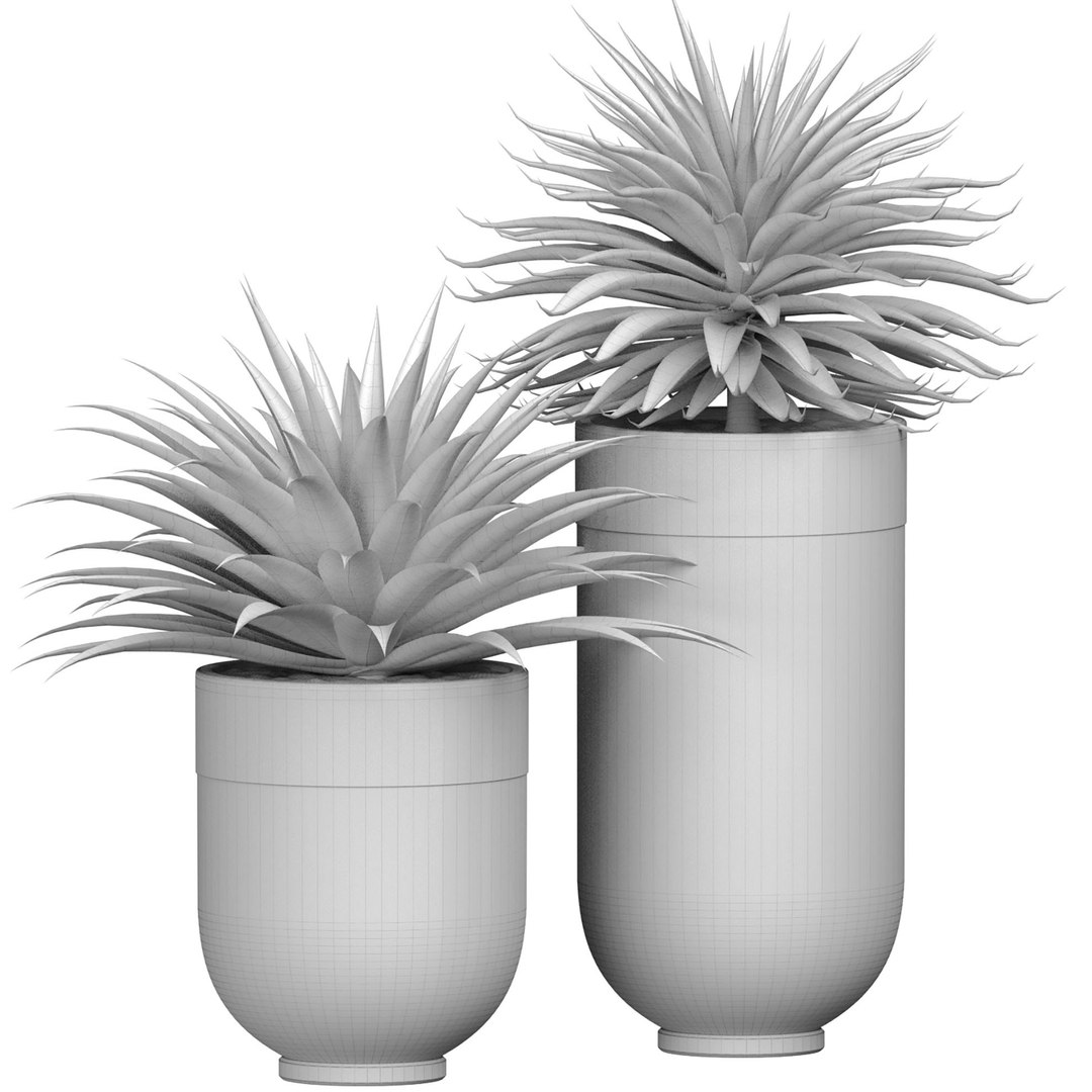 Decorative tropical Agave plant in modern Luxury flower pots vases urns Godwin Longhi Indoor plant 3D model https://p.turbosquid.com/ts-thumb/6g/rbtM2Q/dR/3ddd4/jpg/1734429469/1920x1080/fit_q87/9c48cbafc8e65afda9b8b9b7e163f8253e0f2ae7/3ddd4.jpg