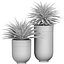 Planta de Agave tropical decorativa em vasos de flores de luxo modernos vasos urnas Godwin Longhi Planta de interior
