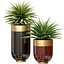 Planta de Agave tropical decorativa em vasos de flores de luxo modernos vasos urnas Godwin Longhi Planta de interior