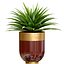 Planta de Agave tropical decorativa em vasos de flores de luxo modernos vasos urnas Godwin Longhi Planta de interior