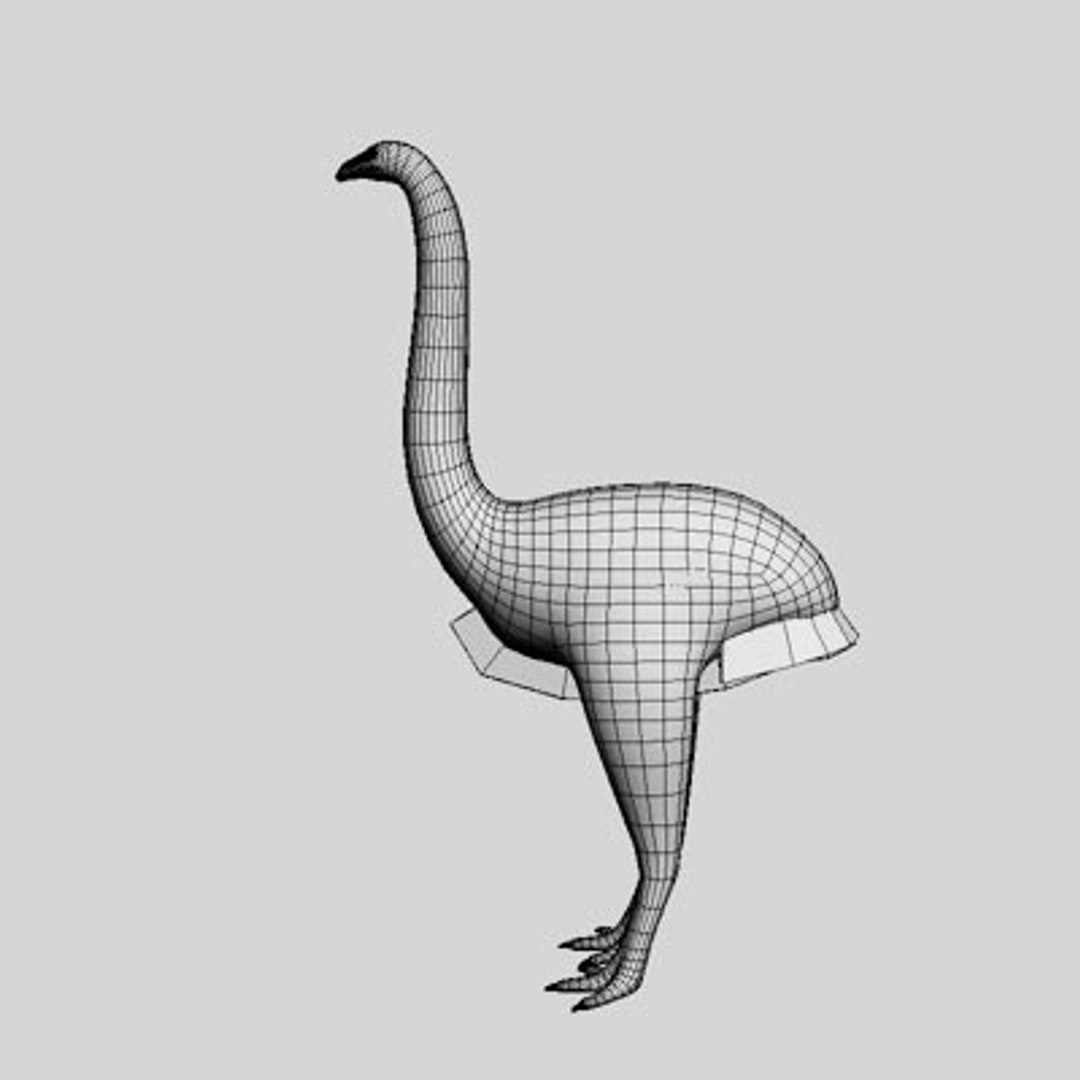 moa bird extinct obj https://p.turbosquid.com/ts-thumb/6h/3fwDB3/DCgqA6oH/moaw01/jpg/1276764210/1920x1080/fit_q87/bfa8fcc4020ffa94d5a7ee30899d20f6b4192157/moaw01.jpg