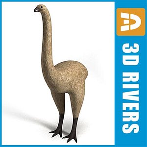 moa bird extinct obj