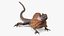 3D Frillneck Lizard Rigged model