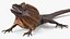 3D Frillneck Lizard Rigged model
