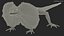 3D Frillneck Lizard Rigged model