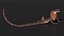 3D Frillneck Lizard Rigged model