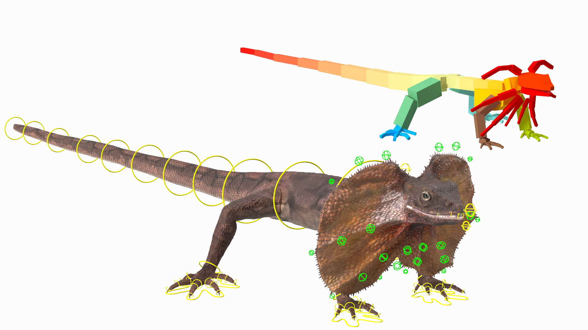 3D Frillneck Lizard Rigged Model - TurboSquid 2265947