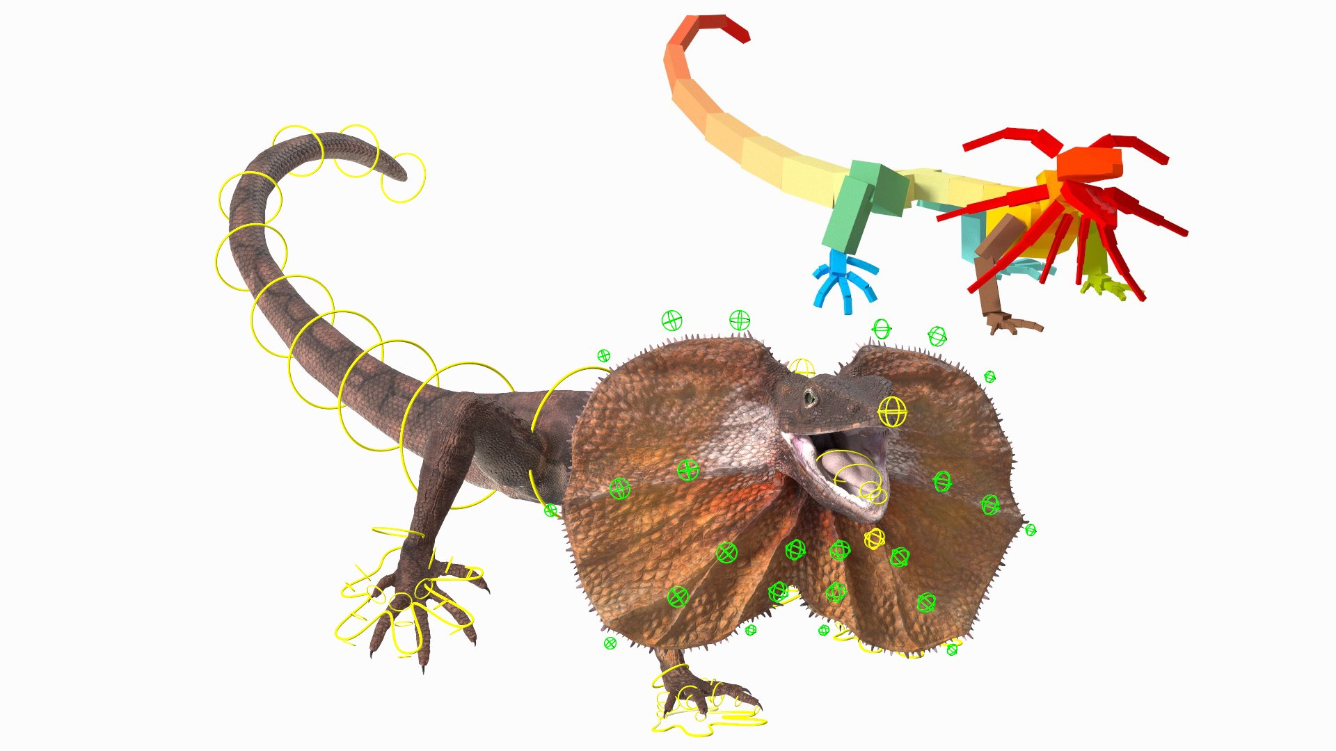 3D Frillneck Lizard Rigged Model - TurboSquid 2265947