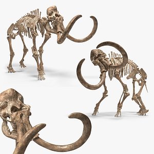 Mammoth Skeleton Rigged For Blender Animated Set