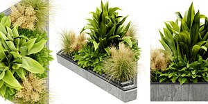 Collection plant vol 519 - blender model 3D model