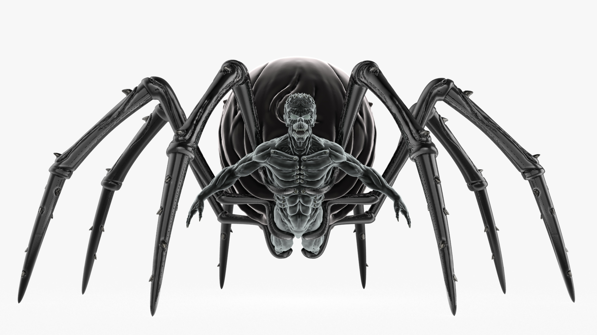 Spider 3D Model - TurboSquid 1964983