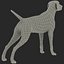 German Shorthaired Pointer Kurzhaar