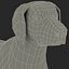 German Shorthaired Pointer Kurzhaar