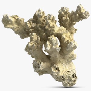 coral modeled v-ray model