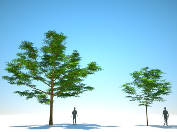 Trees arch gpu 3D - TurboSquid 1152442
