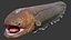3D electric eel rigged animal