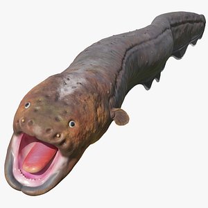 3D electric eel rigged animal