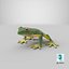 Tree Frog