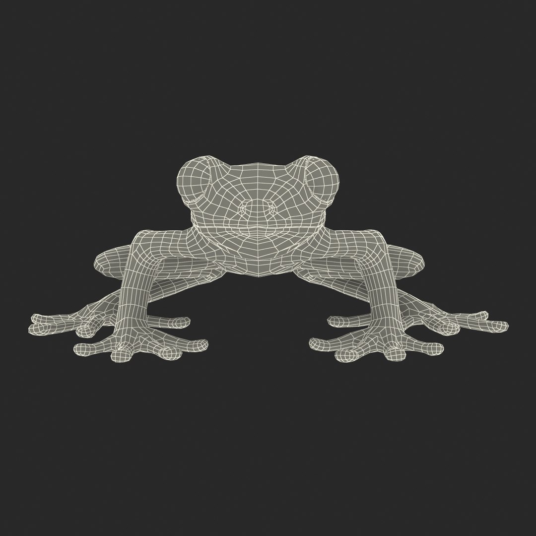3ds tree frog https://p.turbosquid.com/ts-thumb/6i/8fX4oY/JI3CBE6e/treefrog3dmodel23/jpg/1455273066/1920x1080/fit_q87/d785ab410c836f4c4962940c093f60383c0c8962/treefrog3dmodel23.jpg