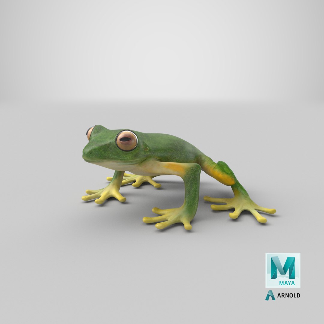 3ds tree frog https://p.turbosquid.com/ts-thumb/6i/8fX4oY/Li/stemcell_maya_arnold_render/png/1658128585/1920x1080/fit_q87/1d1489e6b8977ab060e5a2fbcbb2cc22b1cf6ea8/stemcell_maya_arnold_render.jpg