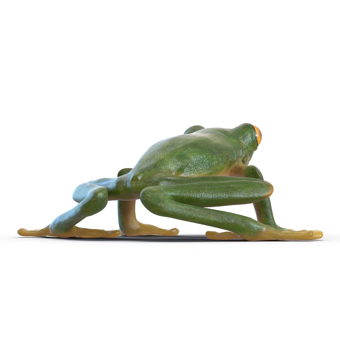 3ds tree frog https://p.turbosquid.com/ts-thumb/6i/8fX4oY/O22EbXUV/treefrog3dmodel05/jpg/1455273064/1920x1080/fit_q87/d1255212fd5b50b373d78ea4e6f45ac4bce57378/treefrog3dmodel05.jpg