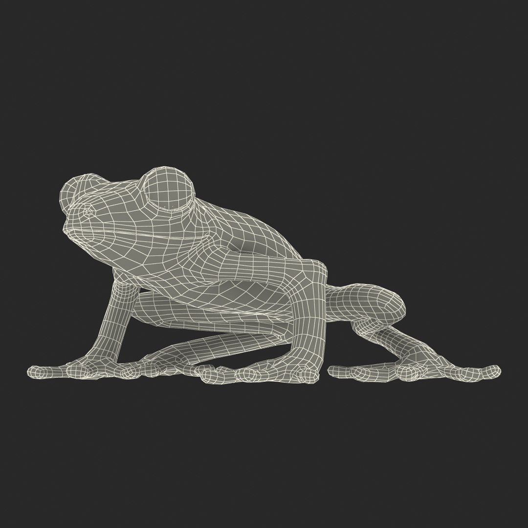 3ds tree frog https://p.turbosquid.com/ts-thumb/6i/8fX4oY/VfCXOWMK/treefrog3dmodel25/jpg/1455273066/1920x1080/fit_q87/dd3492b59695e9b4fb6250a69962708a02663200/treefrog3dmodel25.jpg
