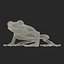 Tree Frog