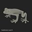 Tree Frog