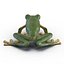 Tree Frog