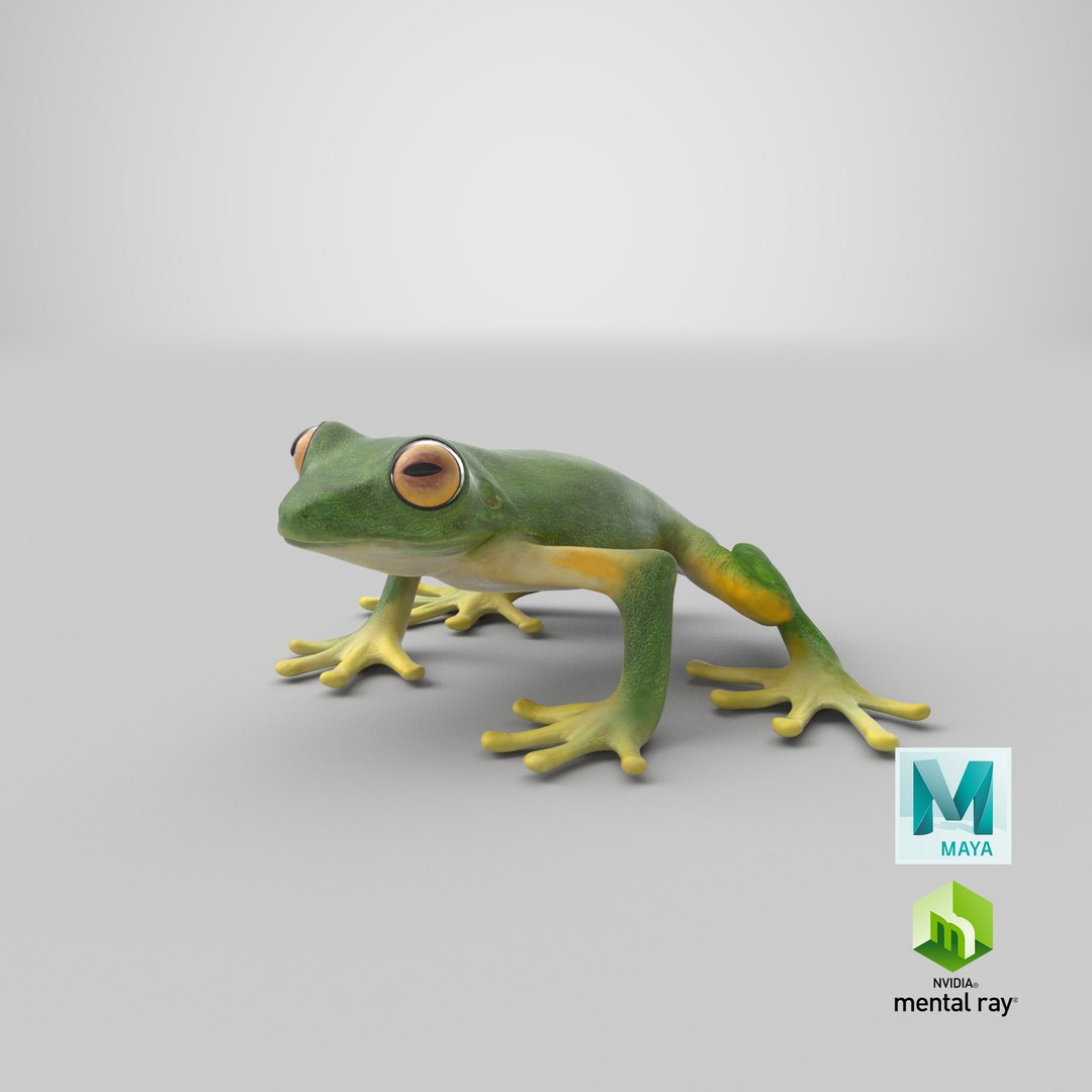 3ds tree frog https://p.turbosquid.com/ts-thumb/6i/8fX4oY/gD/stemcell_maya_mental_ray_render/png/1658128587/1920x1080/fit_q87/8be059ea36af6c5745b6ed85ece83d1601901473/stemcell_maya_mental_ray_render.jpg