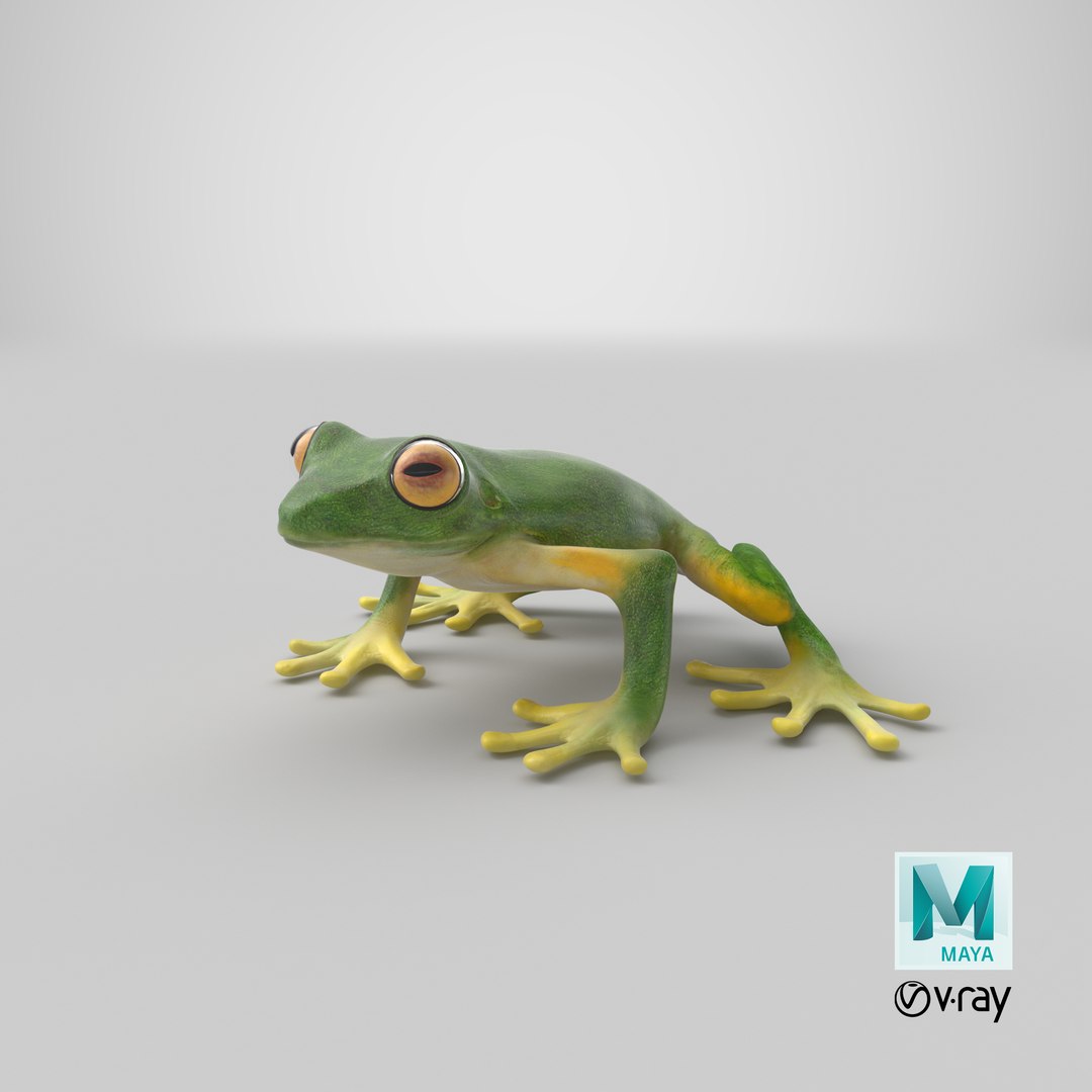 3ds tree frog https://p.turbosquid.com/ts-thumb/6i/8fX4oY/v7/stemcell_maya_vray_render/png/1658128589/1920x1080/fit_q87/9e68c65e70468c72c30431d21309d8ac120f62f7/stemcell_maya_vray_render.jpg