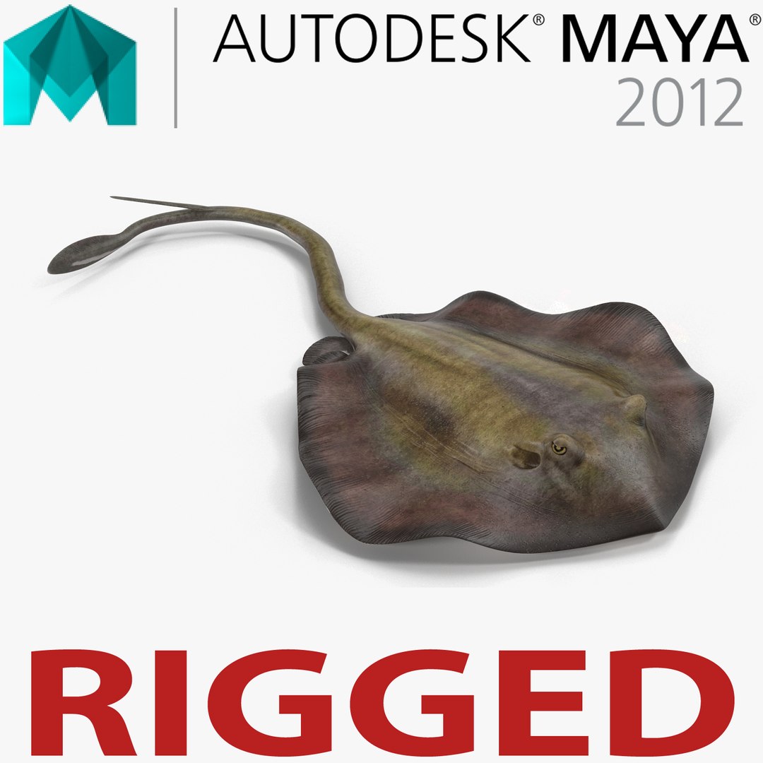 Stingray Rigged for Maya 3D model preview