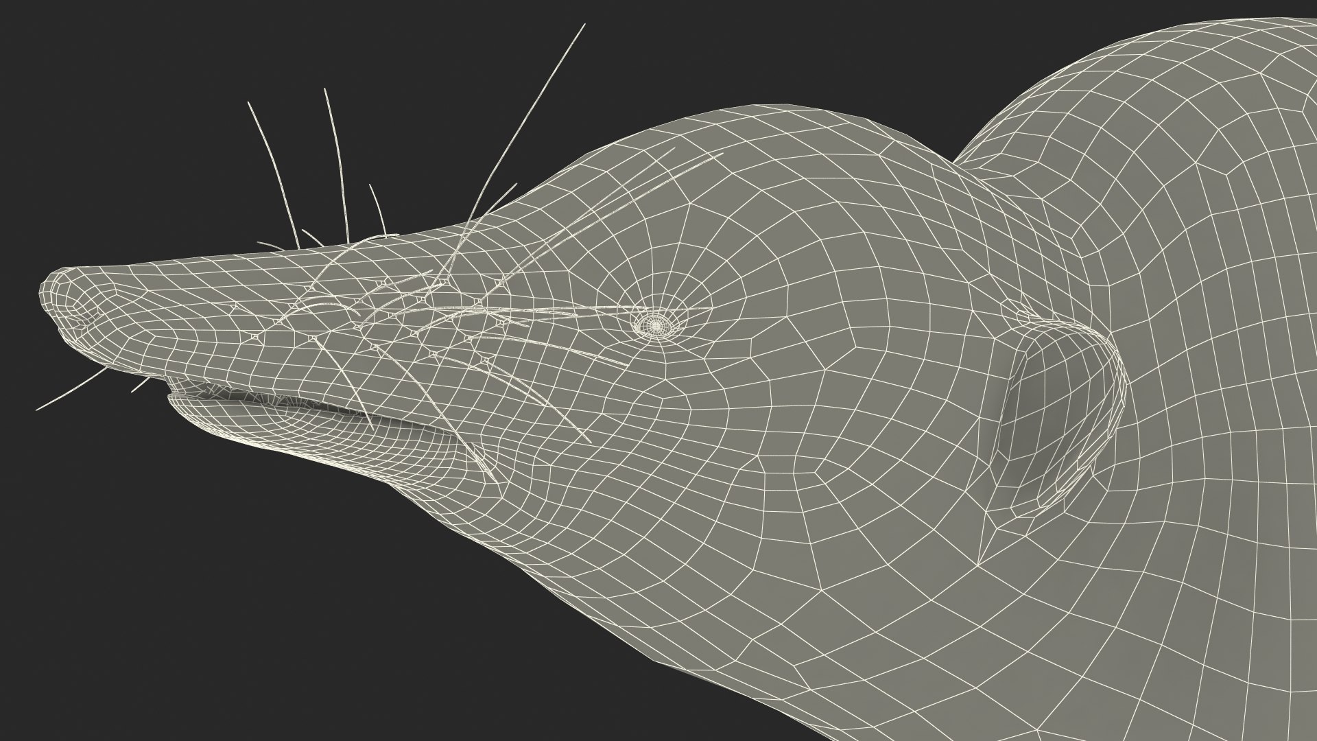 3D Shrew Idle Pose Fur - TurboSquid 2166400