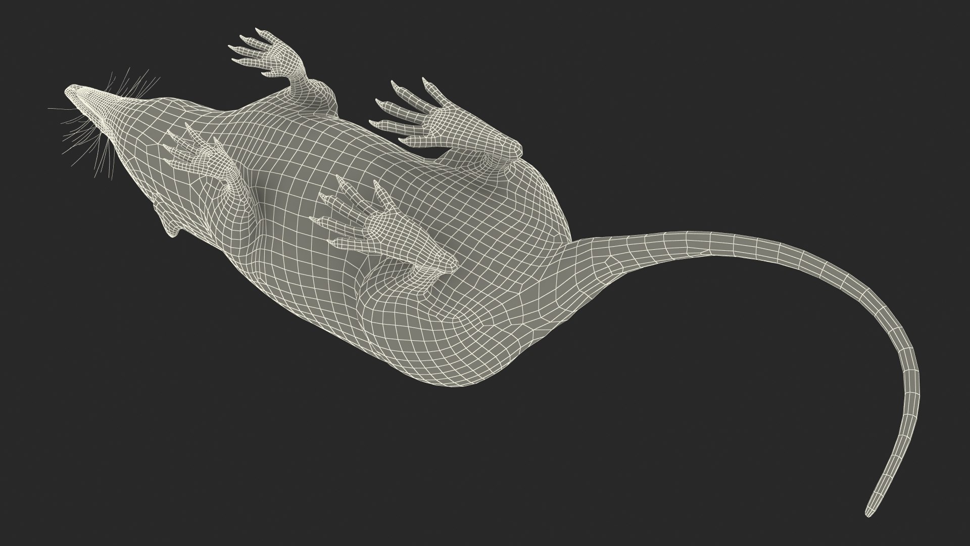 3D Shrew Idle Pose Fur - TurboSquid 2166400