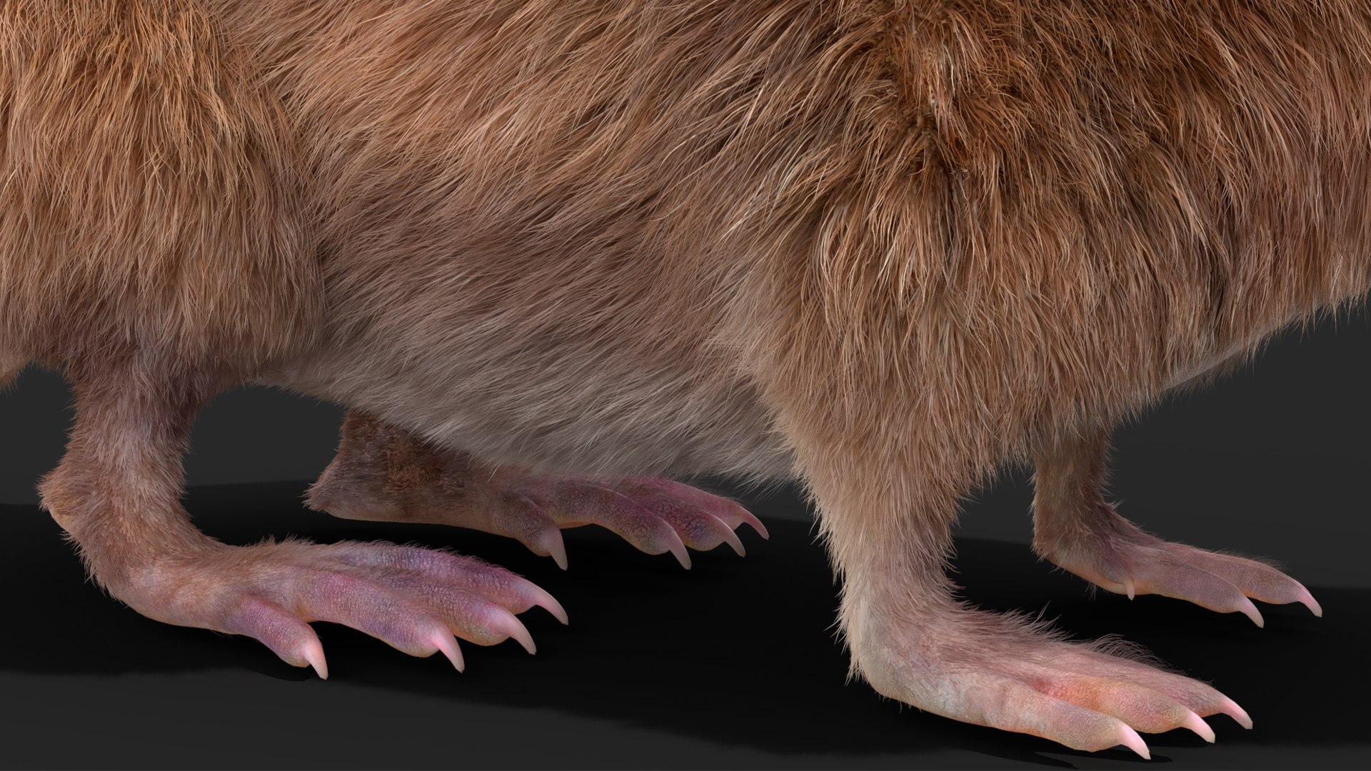 3D Shrew Idle Pose Fur - TurboSquid 2166400