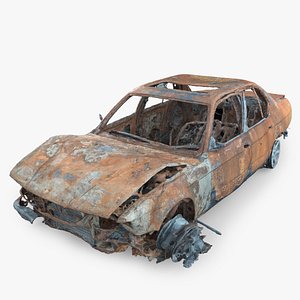 Burned Car Wreck 13