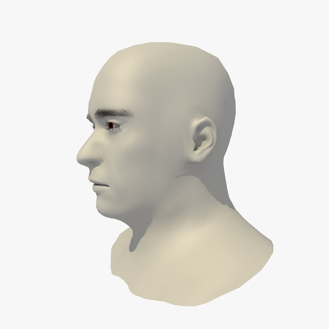 realistic head 45 year 3D model https://p.turbosquid.com/ts-thumb/6i/dWCBRS/2GclTalT/45yrmidageeuroman1_0002/jpg/1566350264/1920x1080/fit_q87/71a78a3a7f86328a5f5567e388aa9fac59ab9b1a/45yrmidageeuroman1_0002.jpg