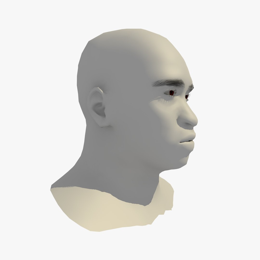 realistic head 45 year 3D model https://p.turbosquid.com/ts-thumb/6i/dWCBRS/2hi7WX37/45yrmidageafricanmanhead1_0010/jpg/1566350141/1920x1080/fit_q87/596d8c0a1a46702fc5b0c2dc89b1f77806df059d/45yrmidageafricanmanhead1_0010.jpg