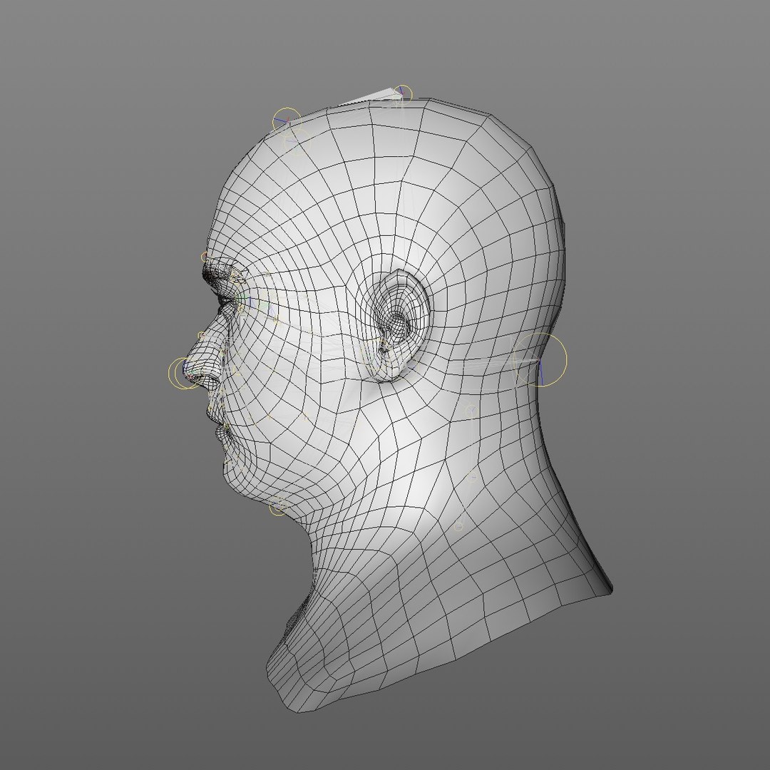 realistic head 45 year 3D model https://p.turbosquid.com/ts-thumb/6i/dWCBRS/3sNvNoh6/45yrmidageeuroman2_0003/jpg/1566350266/1920x1080/fit_q87/b6b61e8a415f8284ca2f84749c16802fec8e1a83/45yrmidageeuroman2_0003.jpg
