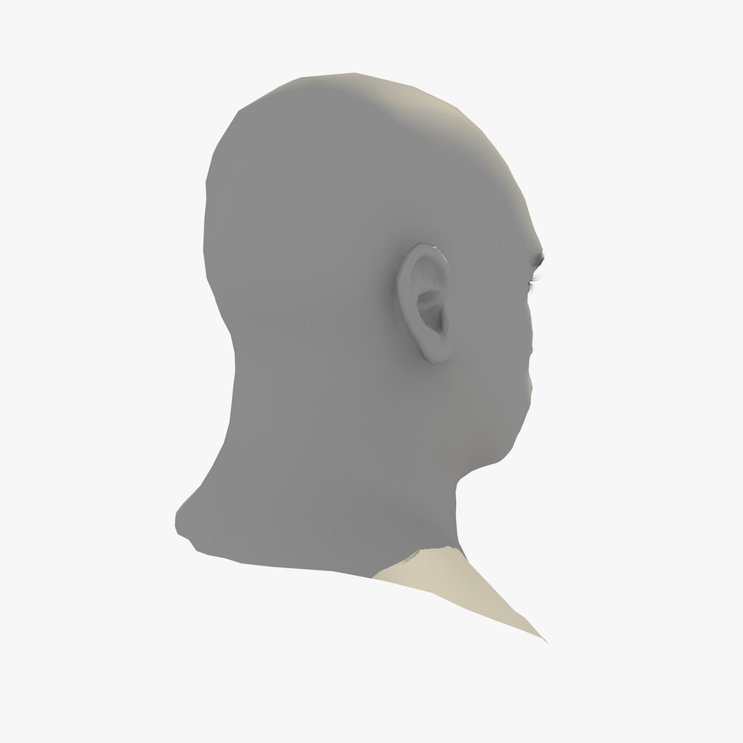 realistic head 45 year 3D model https://p.turbosquid.com/ts-thumb/6i/dWCBRS/48tacrzP/45yrmidageafricanmanhead1_0008/jpg/1566350141/1920x1080/fit_q87/c46ce139b50456307f22550236a1941496963cbd/45yrmidageafricanmanhead1_0008.jpg