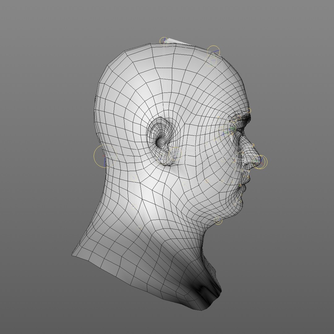 realistic head 45 year 3D model https://p.turbosquid.com/ts-thumb/6i/dWCBRS/4cb2NH8F/45yrmidageeuroman2_0009/jpg/1566350266/1920x1080/fit_q87/5f4a4a076d0e7f03f27af518ef79a0f52dd9e31c/45yrmidageeuroman2_0009.jpg
