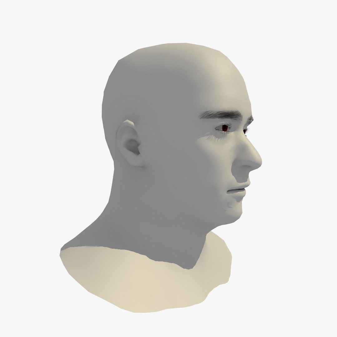 realistic head 45 year 3D model https://p.turbosquid.com/ts-thumb/6i/dWCBRS/4iDvjC88/45yrmidageeuroman1_0010/jpg/1566350265/1920x1080/fit_q87/f6ddd26e902b85035b985e5ac5b0baca68c397a7/45yrmidageeuroman1_0010.jpg