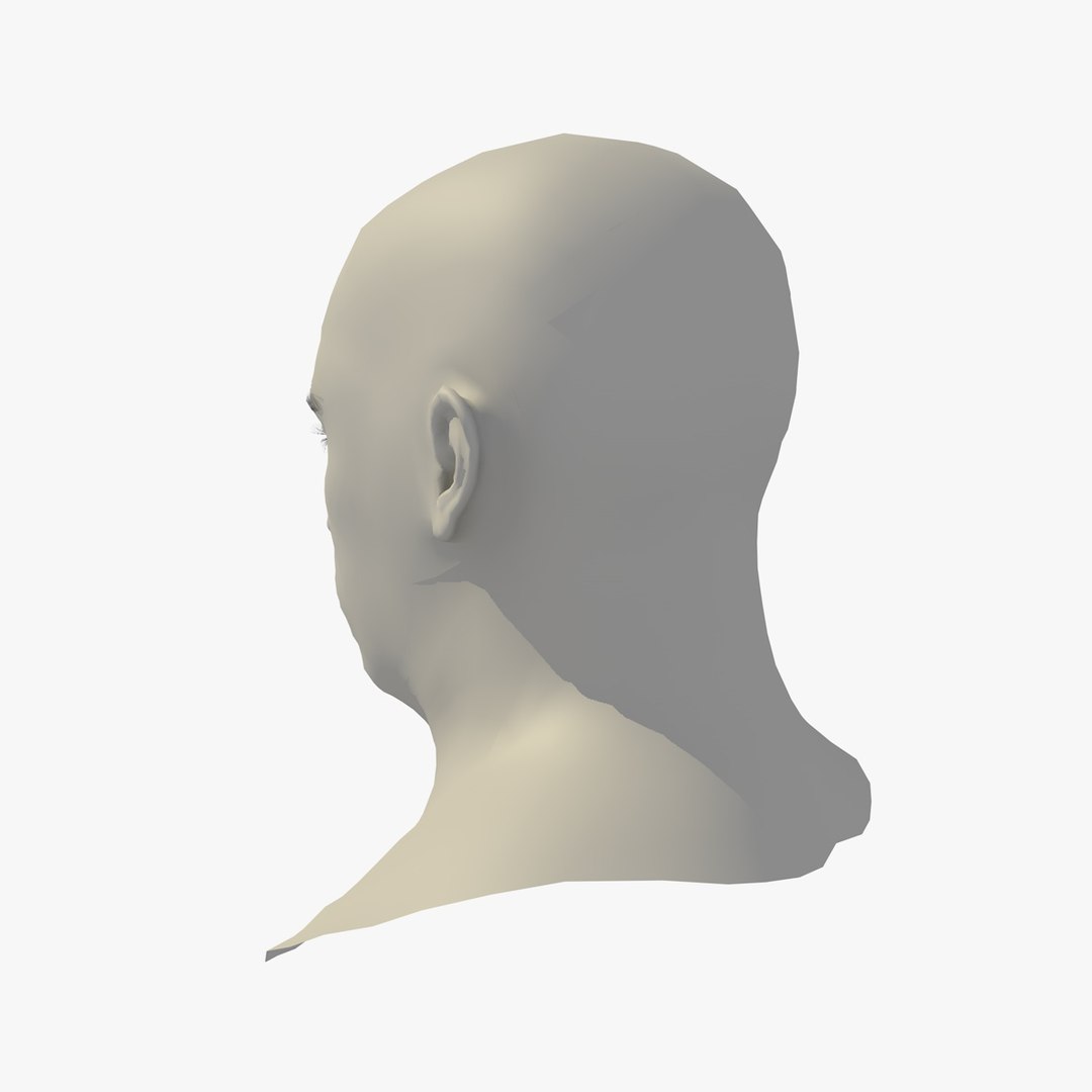 realistic head 45 year 3D model https://p.turbosquid.com/ts-thumb/6i/dWCBRS/74PuCx8p/45yrmidageeuroman1_0004/jpg/1566350264/1920x1080/fit_q87/d5b1eb88a3e0e6f8635996c908aed09187e61e81/45yrmidageeuroman1_0004.jpg