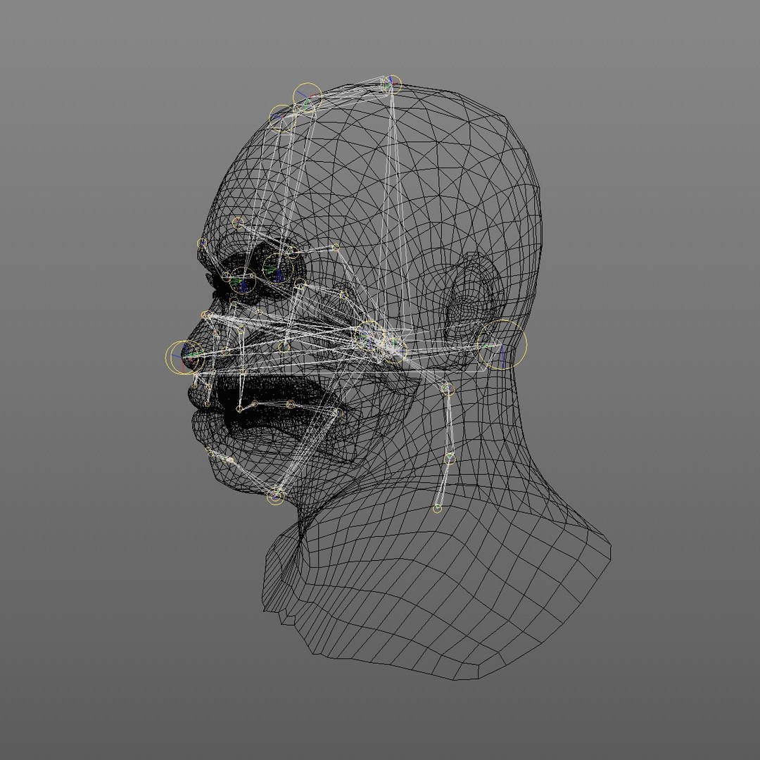 realistic head 45 year 3D model https://p.turbosquid.com/ts-thumb/6i/dWCBRS/7fXZY9V2/45yrmidageafricanmanhead2_0013/jpg/1566350143/1920x1080/fit_q87/0b97fe4825469f6f90ffc5aca04e87808460bae1/45yrmidageafricanmanhead2_0013.jpg