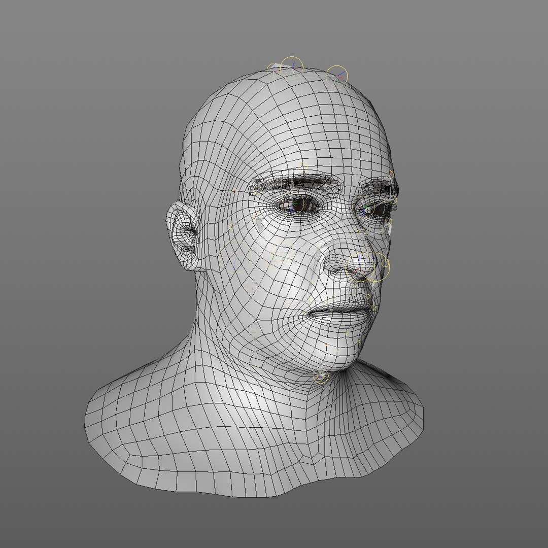 realistic head 45 year 3D model https://p.turbosquid.com/ts-thumb/6i/dWCBRS/CJ6X9Yqh/45yrmidageeuroman2_0011/jpg/1566350267/1920x1080/fit_q87/3cbfdf8267ba6760408d5533ffe3ea4290692c62/45yrmidageeuroman2_0011.jpg