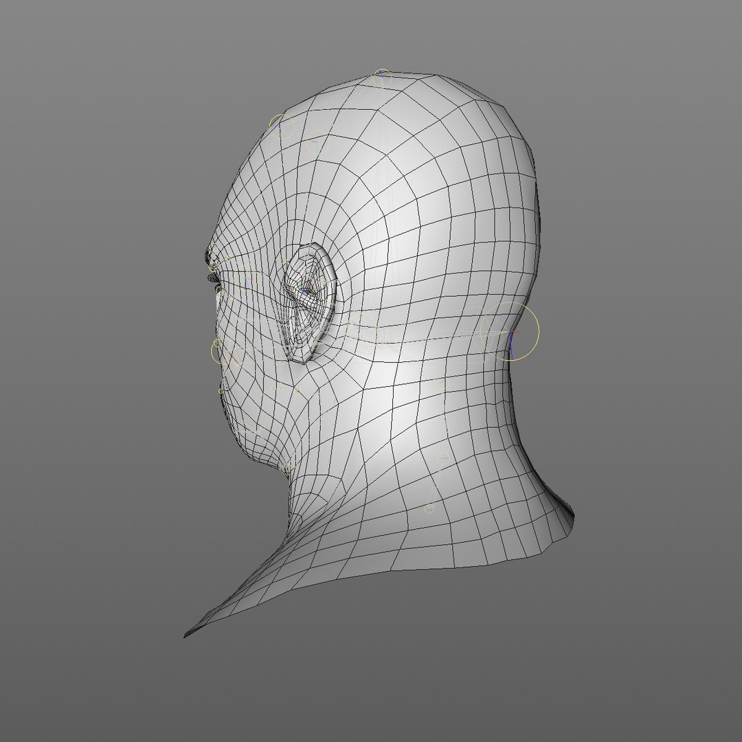realistic head 45 year 3D model https://p.turbosquid.com/ts-thumb/6i/dWCBRS/KFwqieYm/45yrmidageafricanmanhead2_0004/jpg/1566350142/1920x1080/fit_q87/bbce040922923893ff92a02b7eefedd1823cafd7/45yrmidageafricanmanhead2_0004.jpg